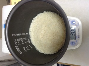 RicePowder01
